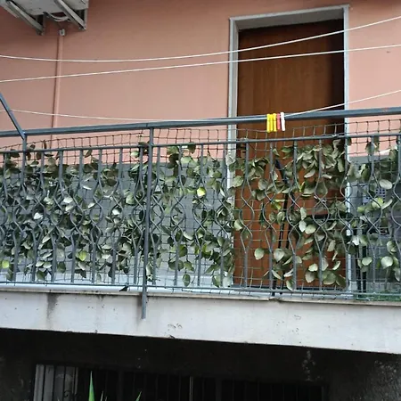 Elvyhouse Affittacamere
